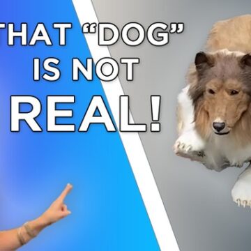 Sick Puppy: Man spends $20,000 to fulfill his dream … of becoming a dog Sick Puppy: Man spends $20,000 to fulfill his dream … of becoming a dog