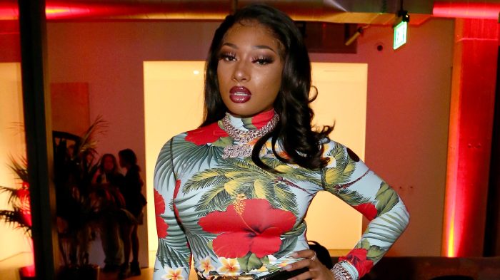 Megan Thee Stallion’s ‘Cobra’ takes aim at the snakes in her life Megan Thee Stallion’s ‘Cobra’ takes aim at the snakes in her life