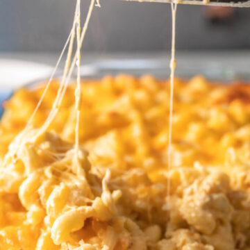 The BEST Southern Mac and Cheese The BEST Southern Mac and Cheese