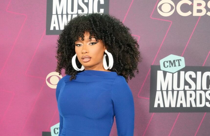 Director trashed for movie mocking Megan Thee Stallion Director trashed for movie mocking Megan Thee Stallion