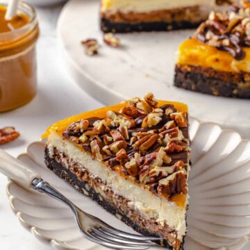 Turtle Cheesecake Turtle Cheesecake