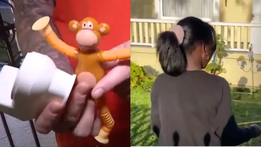 ‘Just Unacceptable’: California Family of Black Fifth Grader Outraged After School Gives Girl Toy Monkey, Toilet Filled with Fake Poop as Fundraiser Prize ‘Just Unacceptable’: California Family of Black Fifth Grader Outraged After School Gives Girl Toy Monkey, Toilet Filled with Fake Poop as Fundraiser Prize