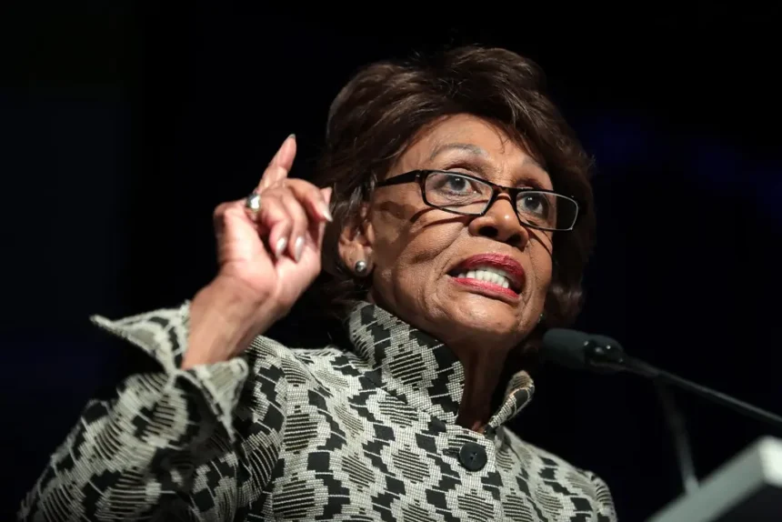 MAGA Accuses Maxine Waters of ‘Baseless Fear-Mongering After Expressing Concern That Donald Trump Is on the Edge of Creating a Civil War’