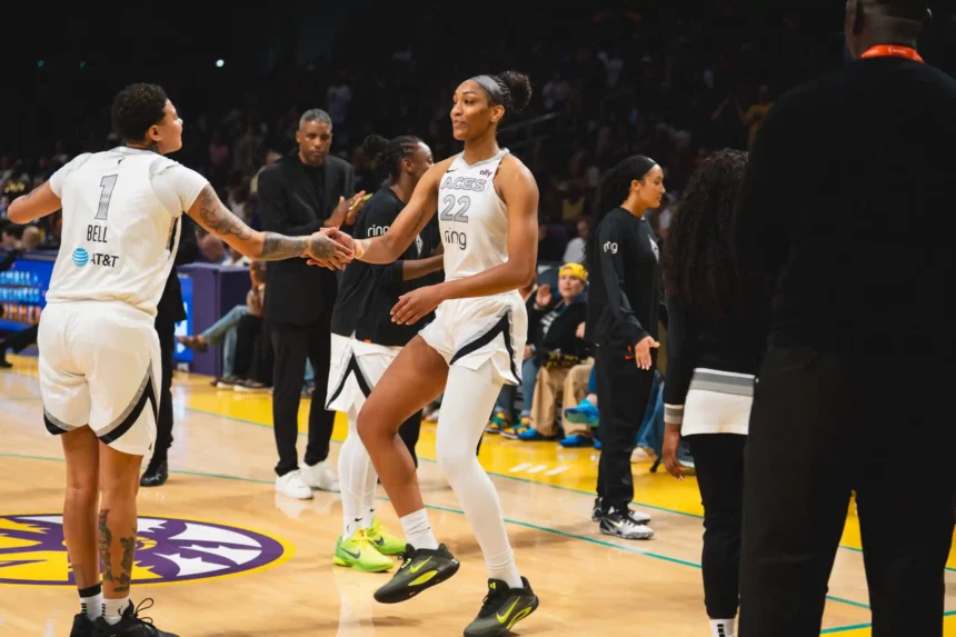 2025 WNBA Risers and Fallers