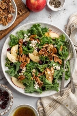 Apple, Pecan and “Feta” Salad (The Perfect Fall Salad Recipe!) Apple, Pecan and “Feta” Salad (The Perfect Fall Salad Recipe!)