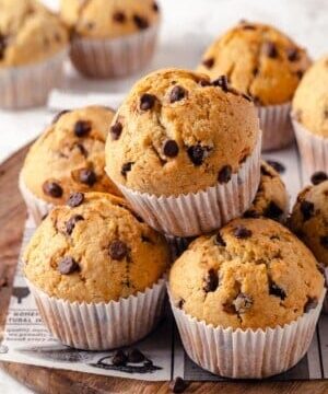 Chocolate Chip Muffin Recipe