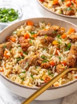 Dutch Oven “Chicken” and Rice