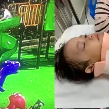 ‘Raised with No Standards’: Boy Shoves Girl Off Playground Structure and Sends Her Flying, Leaving Her Hospitalized as Dad Blames Parents ‘Raised with No Standards’: Boy Shoves Girl Off Playground Structure and Sends Her Flying, Leaving Her Hospitalized as Dad Blames Parents