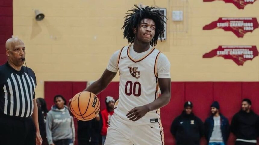 Stellar Hoops Spring Elite 60: Top Performers