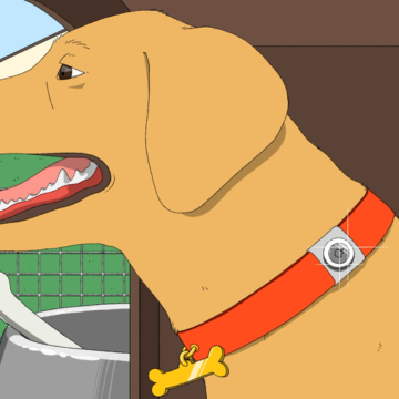 Can Apple’s AirTags Find Lost Pets?