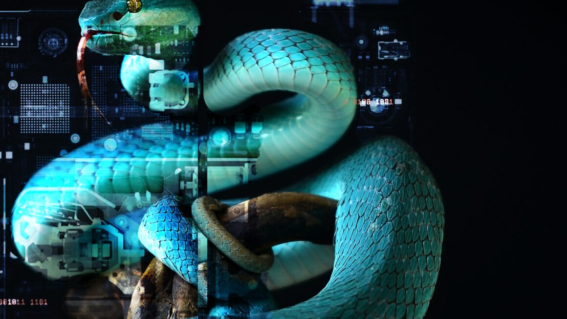 he-escaped-the-dark-webs-biggest-bust-now-hes-back He escaped the Dark Web’s biggest bust. Now he’s back