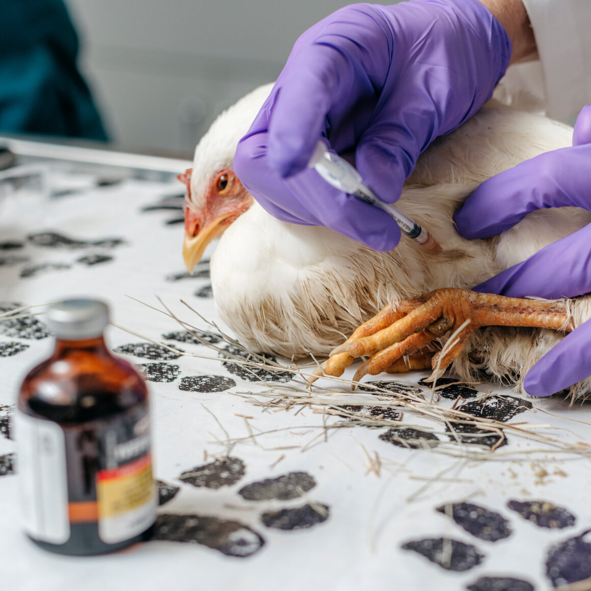 How Covid Misinformation Created a Run on Ivermectin