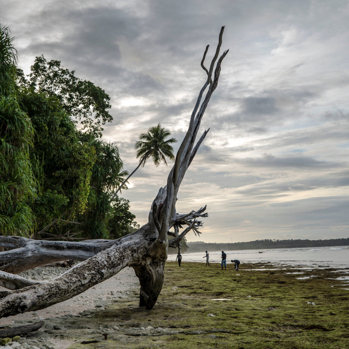 Will Indonesia Edge Its Way into the Space Race?