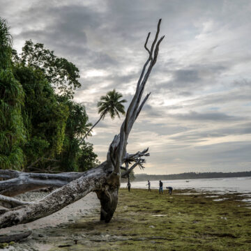 Will Indonesia Edge Its Way into the Space Race?