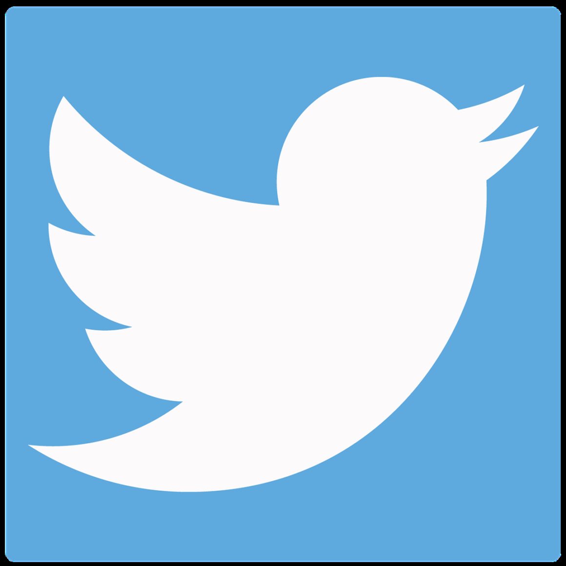 Elon Musk Says His Takeover of Twitter Is ‘On Hold.’