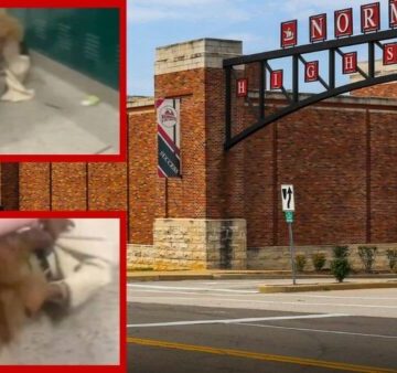 Student Faces Charges After Viral Brawl at Missouri High School Leaves Teacher ‘Banged Up Pretty Bad’ and Teen Recovering from Seizure Student Faces Charges After Viral Brawl at Missouri High School Leaves Teacher ‘Banged Up Pretty Bad’ and Teen Recovering from Seizure