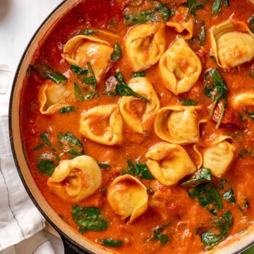 Tomato Tortellini Soup Tomato Tortellini Soup