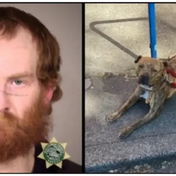 ‘Accepted Behavior’: Black Man Suffered ‘Significant’ Injuries After White Portland Man Called Him the N-Word, Then Ordered Pit Bull to Attack Him. Now, He Plans to Leave the City for Good