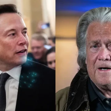 ‘Shut Up and Sit Down!’: Steve Bannon Torched for Ironically Implying Elon Musk Is ‘Racist’ While Plotting to ‘Take Him Out’ By Trump’s Inauguration