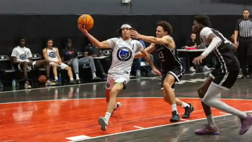 HS: EIBC Finals Stock Risers