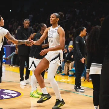 2025 WNBA Risers and Fallers