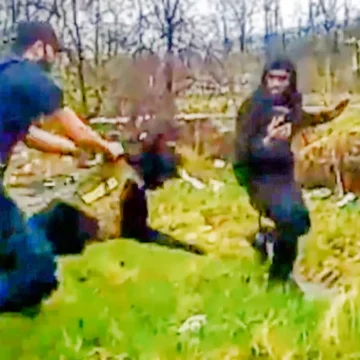 ‘What Is All You Doing, Man?’: A Black Man Was in a Dodge, Cops Were Looking for a Malibu — The K-9 Attack Was Just the Start