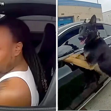 ‘What the Hell is a Bentley Doing Over Here?’: Ohio Cops Hunt for Drugs and Guns in a Black Man’s Luxury Car While Openly Admitting to Racial Profiling