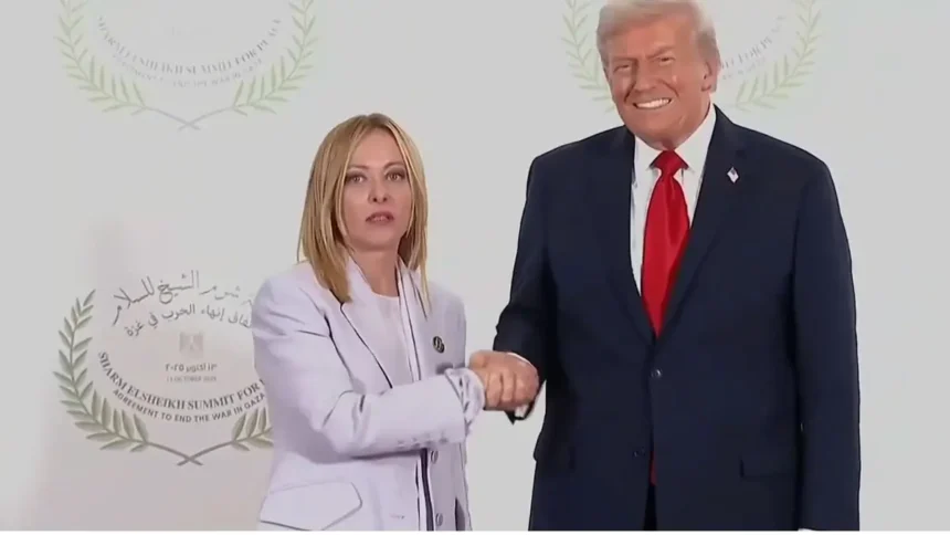 ‘Poor Woman Looks Terrified’: Trump’s Tense Exchange with Italian Prime Minister Has the Internet Reading Her Face as It Spirals into an Uncomfortable Compliment