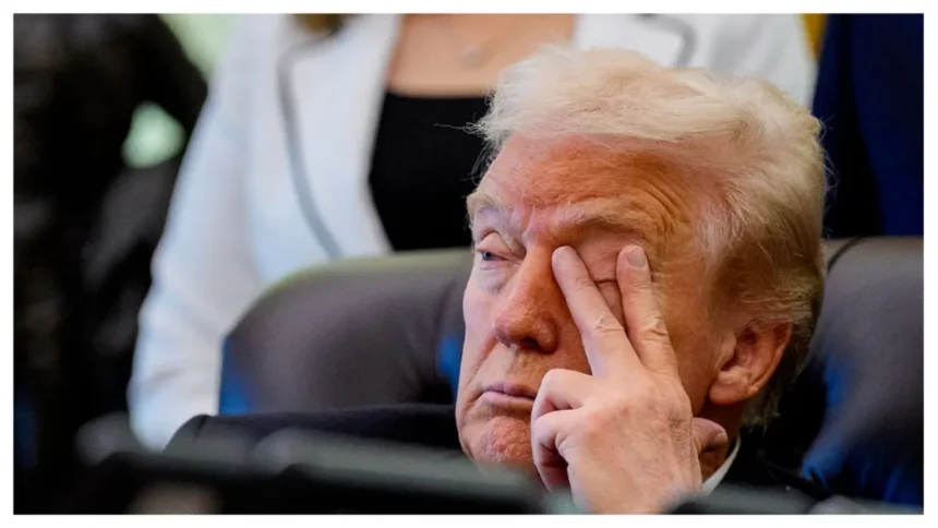 ‘He’s Scared’: Trump Loses It After Crowd Erupts Over a Brutal Clapback Aimed at Him — Then Scrambles to Save Face and Just Makes the Humiliation Worse ‘He’s Scared’: Trump Loses It After Crowd Erupts Over a Brutal Clapback Aimed at Him — Then Scrambles to Save Face and Just Makes the Humiliation Worse