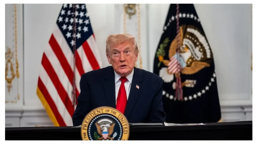 ‘No Brains Left’: Trump’s Search for a Simple Answer Derails Fast — He Starts Rambling Into the Void, Then Scrambles to Recover and Only Digs Deeper