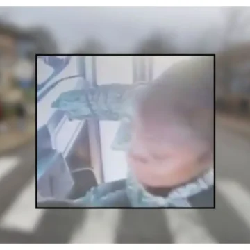 Video Shows a Mother Storming a School Bus After a Pickup Delay — Seconds Later, Kids Are Screaming and Adults Are Fighting to Pull Her Off the Driver